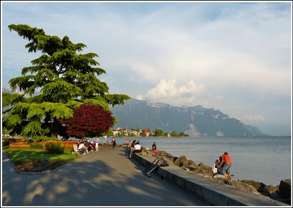 Am linken Bildrand versteckt sich der Rochers de Naye hinter dem Baum in Vevey.  25.05.2012 (Jeanny)