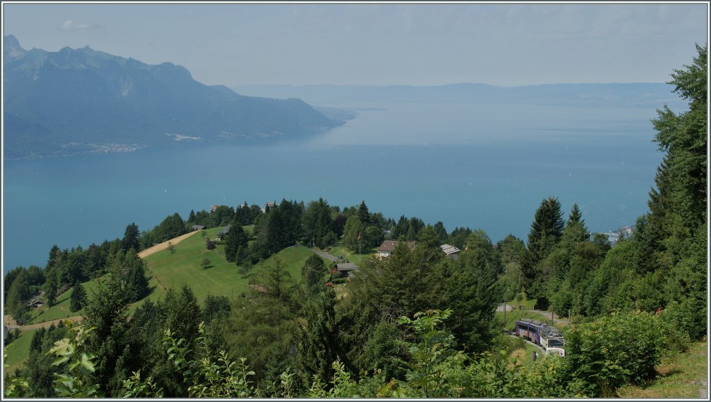 Bahnsuchbild N 1: etwas oberhalb von Caux stehend, schweift der Blick ber den Genfersee.
3.8.13