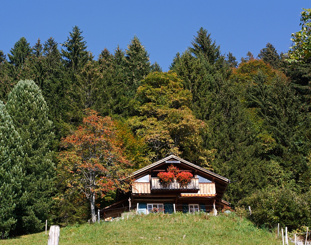 Bienzer Planalp (1346 m . M) am 01.10.2011, ein herbstlicher Blick auf eine Alphtte.