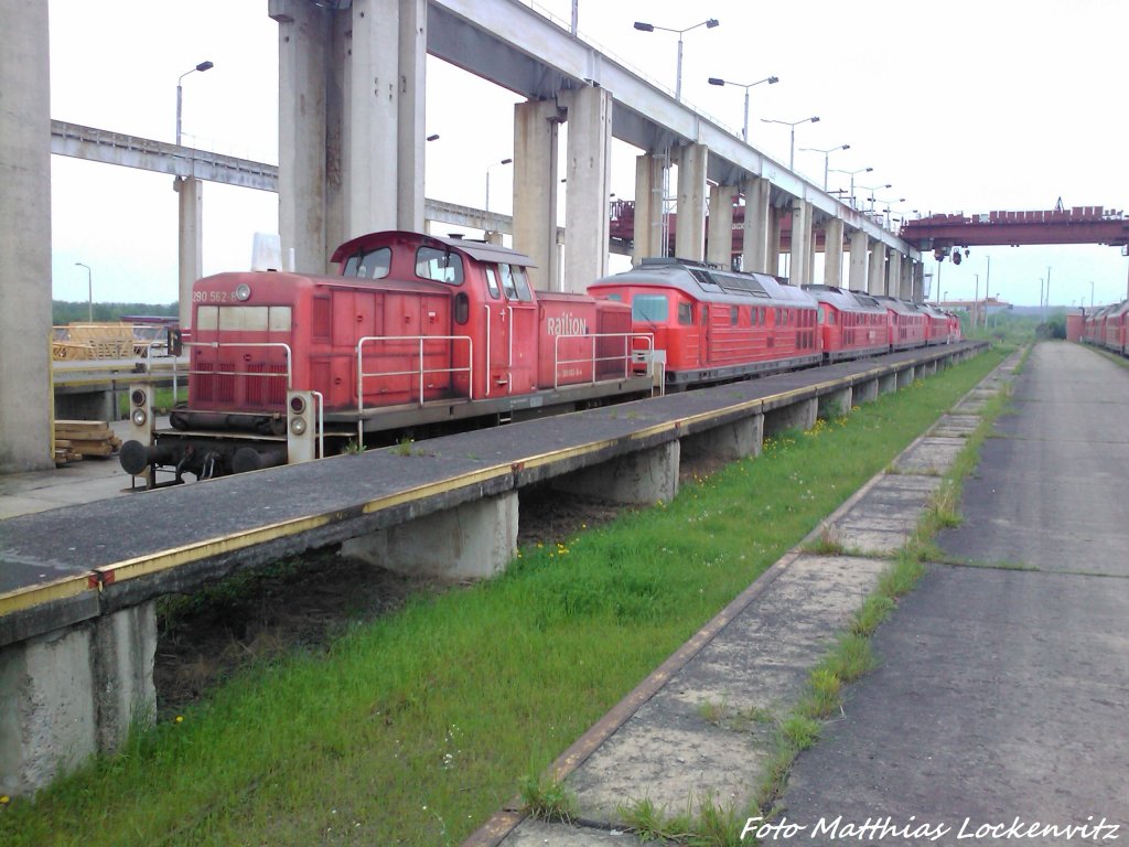 BR 290 und weitere 233er und dahinter stehen die 362er in Mukran am 20.5.13