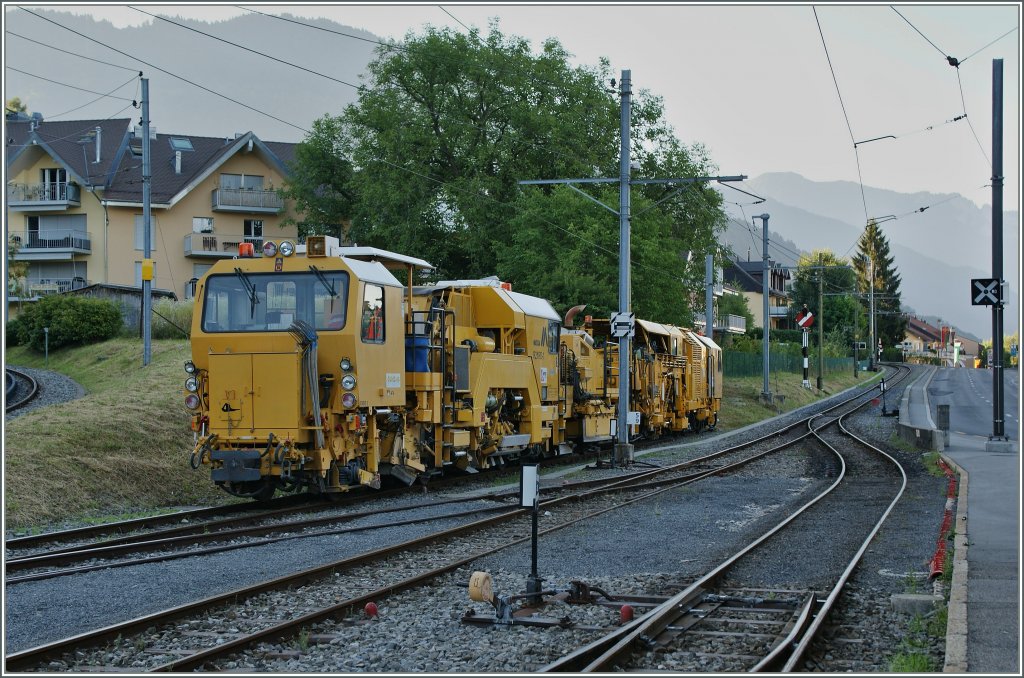 Da im Gegensatz zu mir unserm sehr geschtzten Web-Master diese gelben Dinger gefallen, habe exklusiv fr  hellertal.stratbilder.de  am 2. August 13 meine Kamera aus dem Rucksack gekramt und dieses Bild in Blonay gemacht. 
