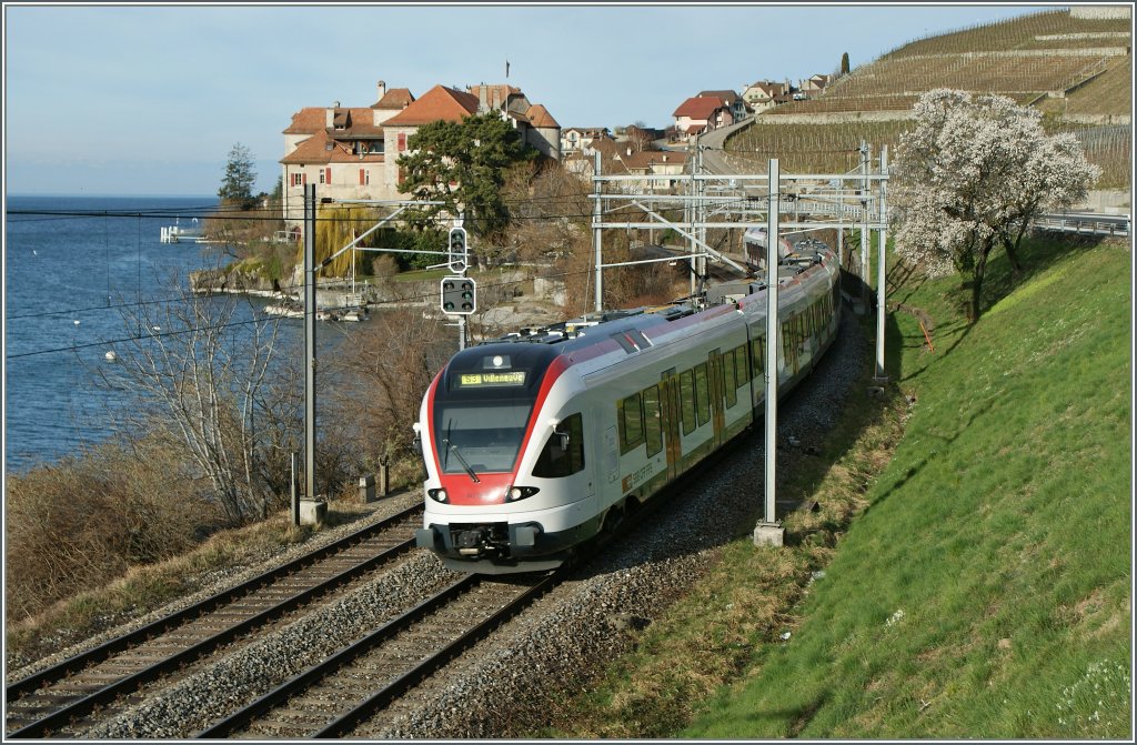 Der Frühling kommt: SBB Flirt RABe 523 bei Rivaz am 14. März 2011.