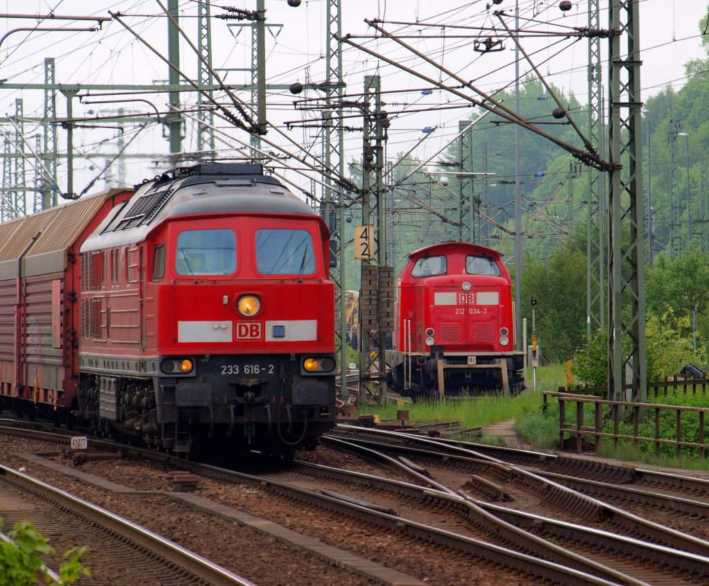 Der groe Bruder neben der kleinen Schwester am 22.5 in Hamburg-Harburg. 233 616-2 fuhr neben der 212 034-3 von DB Fahrwegdienst  DB Netz AG   vorbei.