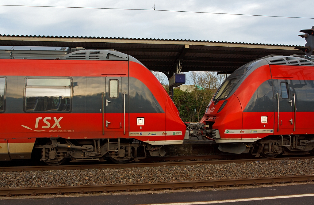 Detail zweier gekuppelter Talent 2 (442 259 und 442 260) von dem rsx – Rhein-Sieg-Express (RE 9) am 29.12.2012 im Bahnhof Betzdorf/Sieg. 