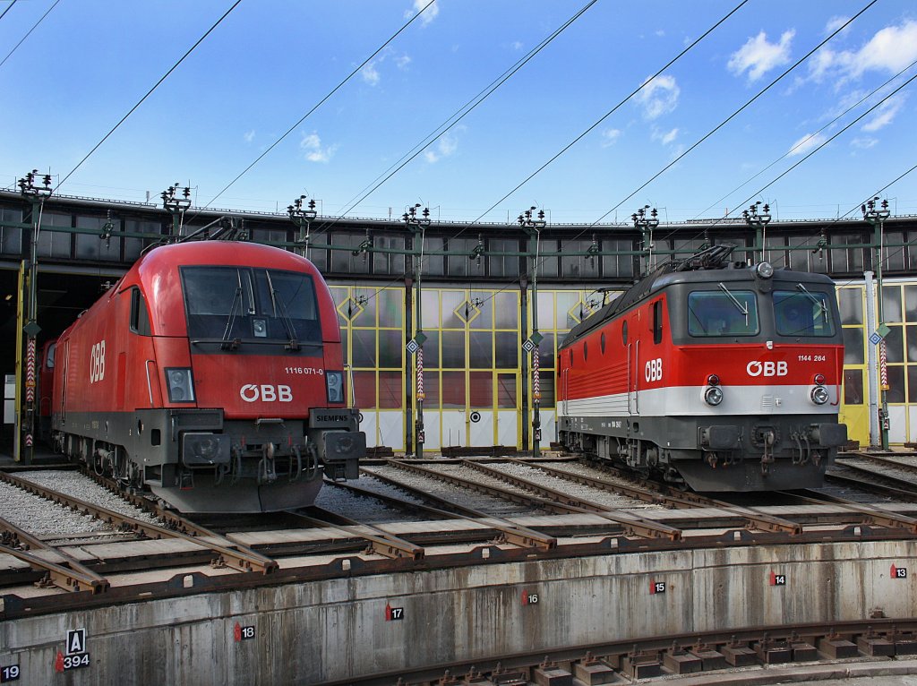 Die 1116 071 und 1144 264 am 28.03.2009 in Salzburg vor dem Lokschuppen. 
