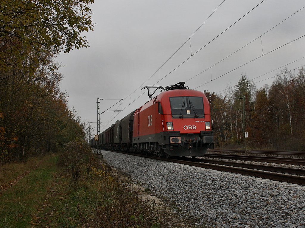 Die 1116 114 am 31.10.2009 mit einem Blechrollenzug unterwegs bei Haar (Mnchen)
