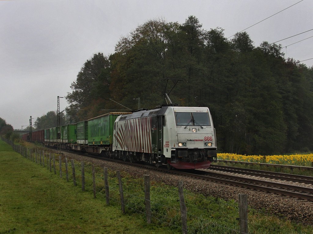 Die 185 666 am 14.10.2010 mit dem Hangartner Zug unterwegs bei Grokarolinenfeld. (B Vogl)