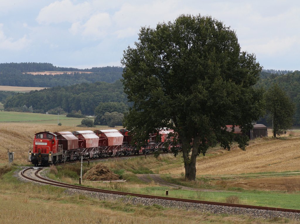 Die 294 816 am 04.09.2009 mit der bergabe nach Amberg unterwegs bei Mimbach.
