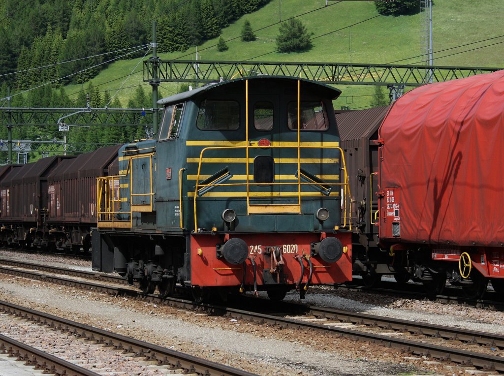 Die D 245 6020 am 11.06.2009 bei Rangierarbeiten im Bahnhof Brenner
