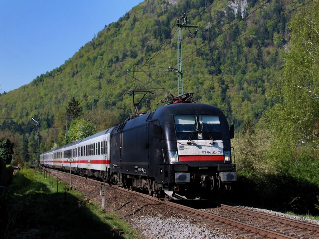 Die ES 64 U2-036 mit dem IC Knigsee nach Hamburg am 22.04.2011 bei der Einfahrt in Piding. 
