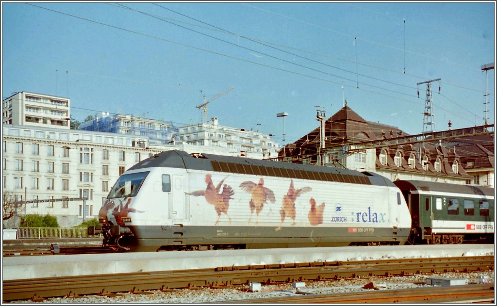 Die  Hhnervogellok  Re 460 023-5  relax  - wohl kaum bei dem Gegacker...
(Februar 1996/Gescanntes Negativ)