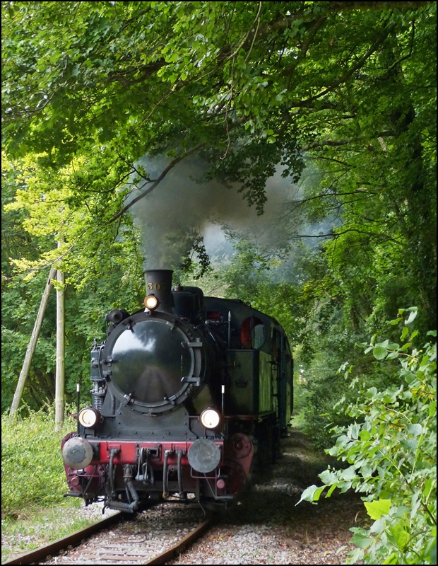 Die KDL 7  Energie 507  dampft mit ihrem Museumszug am 23.09.2012 durch den Wald auf der Strecke des  Train 1900  zwischen Ptange und Fond de Gras und wird in Krze die Kreuzugnsstelle Fuussbsch erreichen. 

Die  Energie 507  ist eine Lok der deutschen Typenreihe der Kriegsdampflokomotiven KDL 7. Diese Typenreihe wurde von der deutschen Industrie im Verlaufe des zweiten Weltkrieges aufgestellt. Die Loks sollten von mehreren Fabriken gebaut werden, vornehmlich in den besetzten Lndern. So erhielt die belgische Fabrik  Energie  in Marcinelle ebenfalls den Auftrag ein Baulos von 50 Stck zu erstellen. Bedingt durch die angespannte Lage in der Rohstoffbeschaffung und der Arbeitskrfte im vierten Kriegsjahr verzgerte sich die Fertigstellung. Die mangelnde Bereitschaft der Belgier zum Endsieg beizutragen, tat ihr briges. So wurden die Loks erst 1946 fertiggestellt und im Laufe der folgenden Jahre an Industrien verkauft. 

Dieses Exemplar gelangte 1952 an die  Fours  Coke de Zeebrugge , wo es bis 1970 in Betrieb stand. Dann wurde es in der Halle eines Altwarenhndlers in Maldegem untergestellt. Dort wurde es von einem AMTF Mitglied entdeckt, es bedurfte jedoch zher Verhandlungen, um zu fr beide Seiten annehmbare Bedingungen einer Transaktion zu gelangen. (Jeanny)