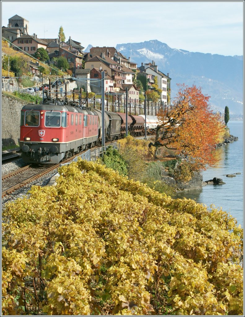 Die Re 4/4 II 11185 mit einer Schwesterlok miteinem Gterzug bei St-Saphorin am 4. Nov. 2010. 