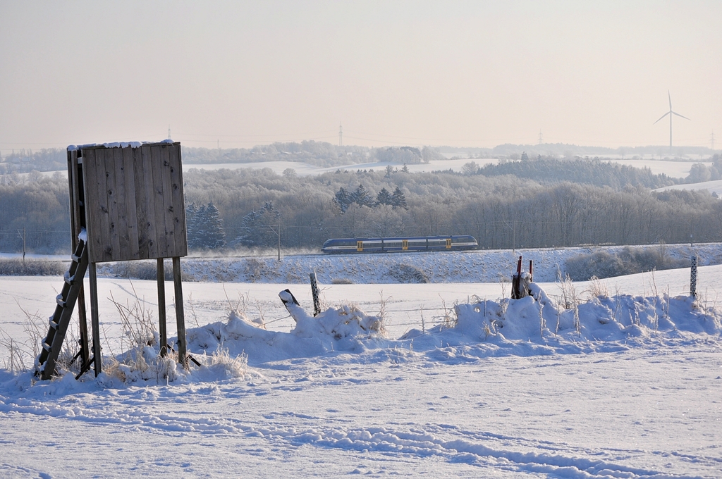 Dieser unerkannte OLA-Vt wurde am 05.02.2012 zwischen Gragetopshof und Kavelstorf geknipst.