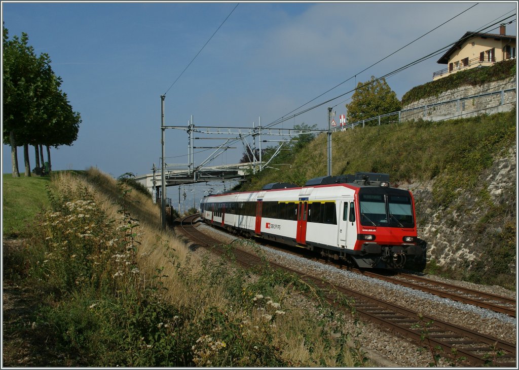 Ein  Domino  bei Grandvaux.
24.09.2011