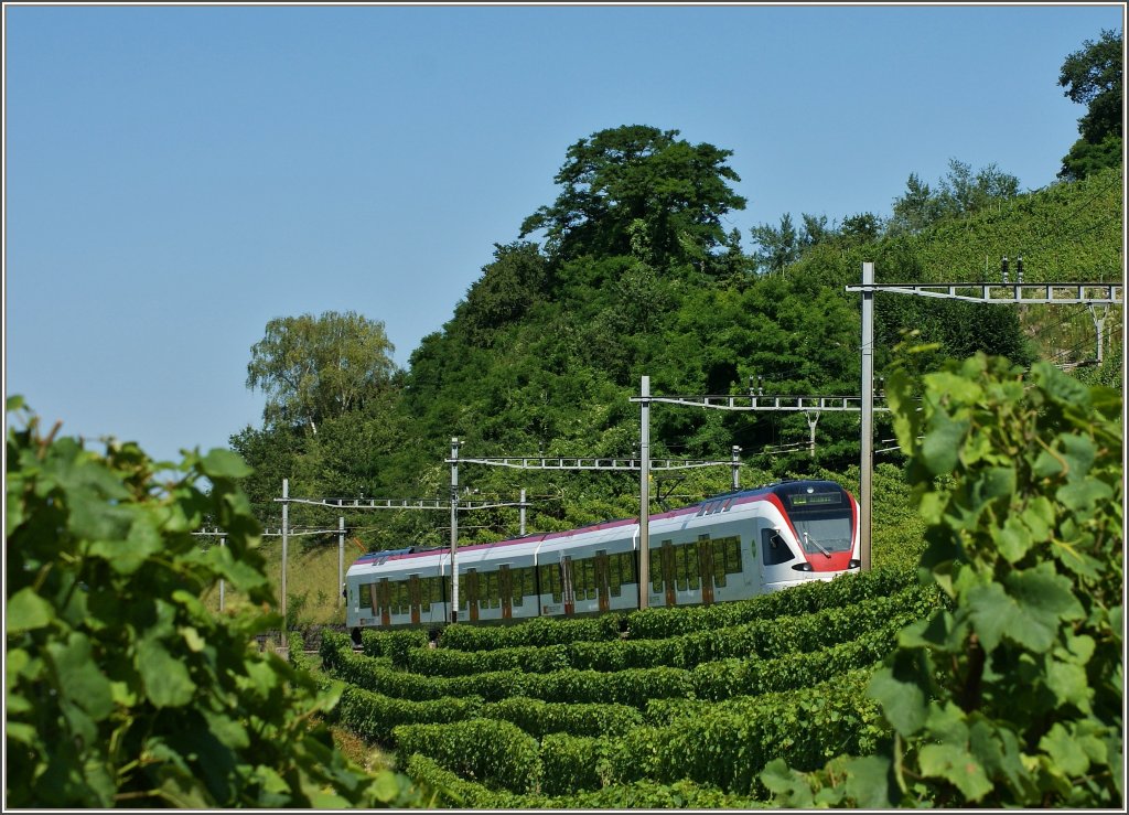 Ein Flirt mit den Weinbergen?
(Grandvaux,18.07.2012)