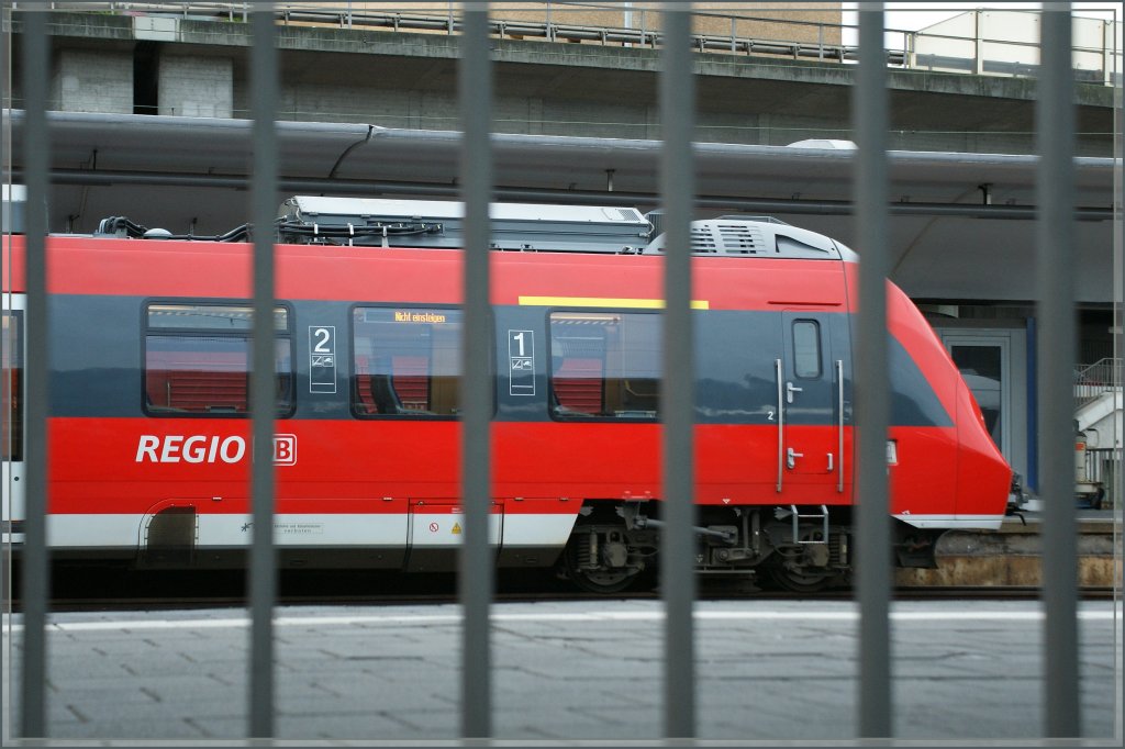 Ein Hamster in seinem Kfig. 
(Koblenz, den 26. Sept. 2012)