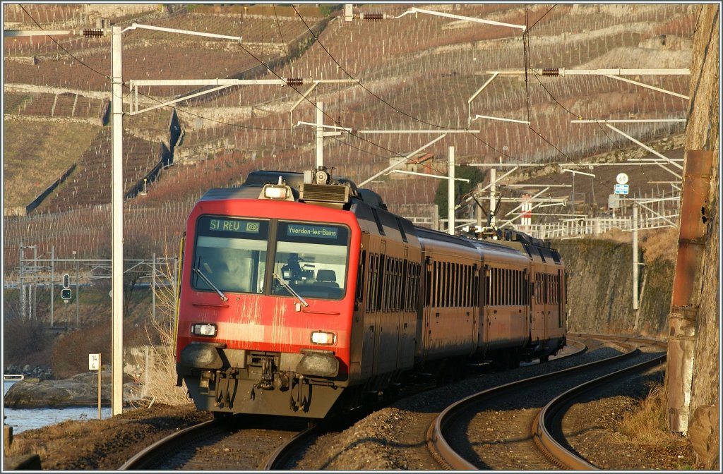 Ein NPZ im Lavaux. 
25.01.2009