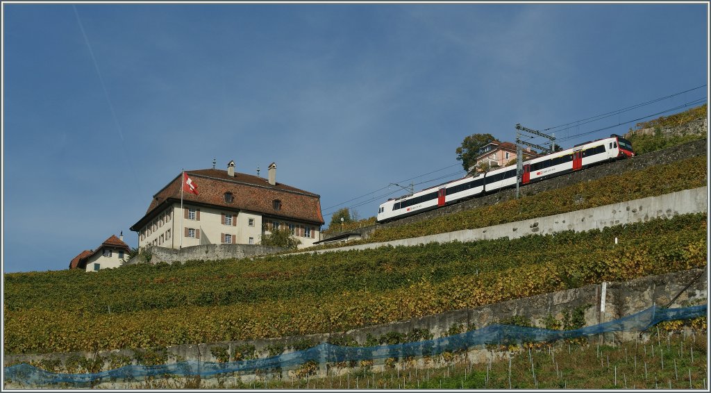 Ein S31 auf der Fahrt von Vevey nach Puidoux-Chexbres.
20. Okt. 2012