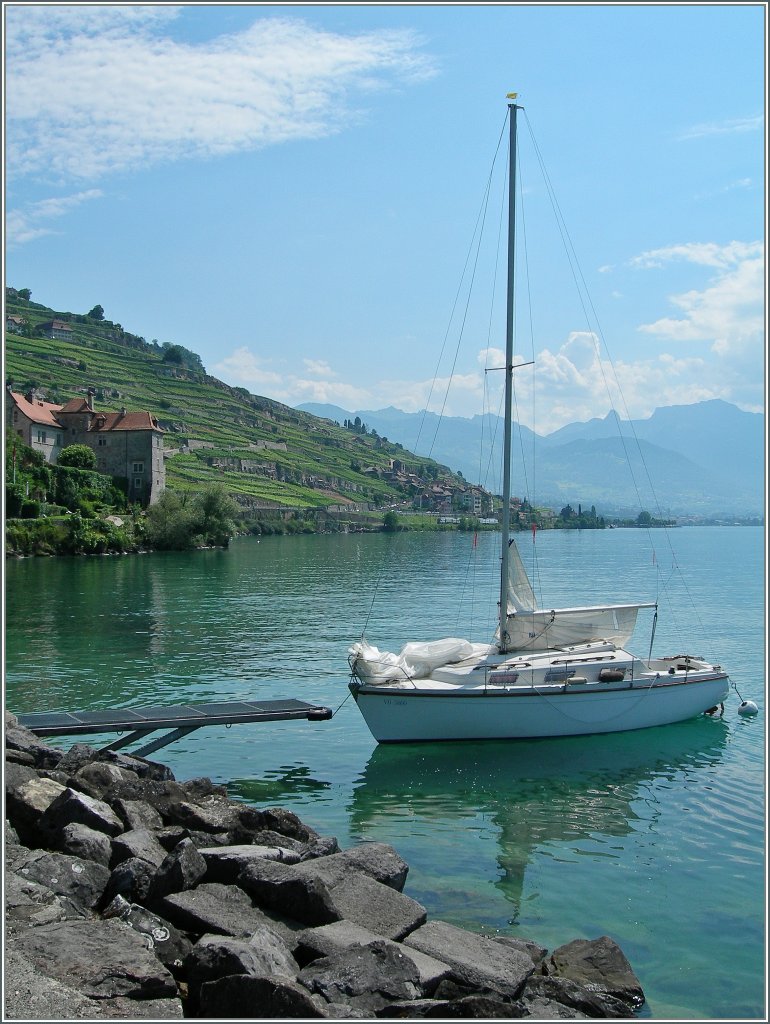 Ein SBB RABe von Vevey nach Genve bei Rivaz.
25. Juli 2013