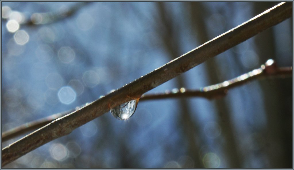 Ein Wassertropfen im Sonnenlicht.
(28.01.2013)
