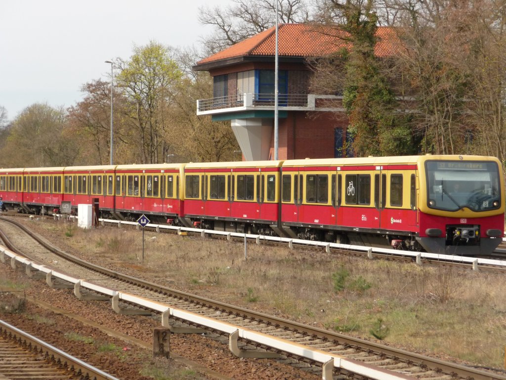 Eine Garnitur 481er fhrt am 11.04.2012 in Berlin-Wannsee ein.
S1 -> Oranienburg