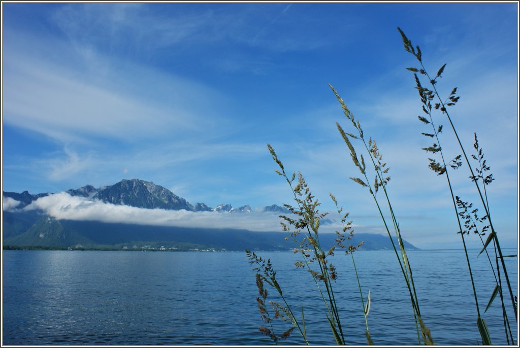 Eine klare Sicht auf den Grammont 2172m..M bot sich nach drei Wochen Regen am 14.06.2012
 