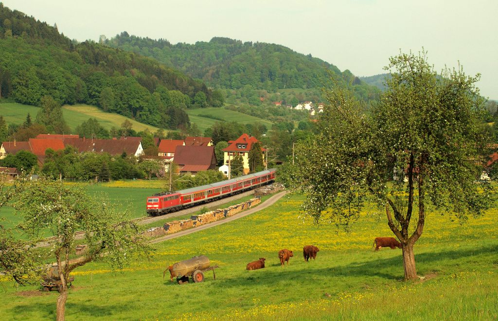 Eine unbekannte 111 konnte ich am 28.4.11 mit einem Regionalexpress in Schleiweiler fotografieren.