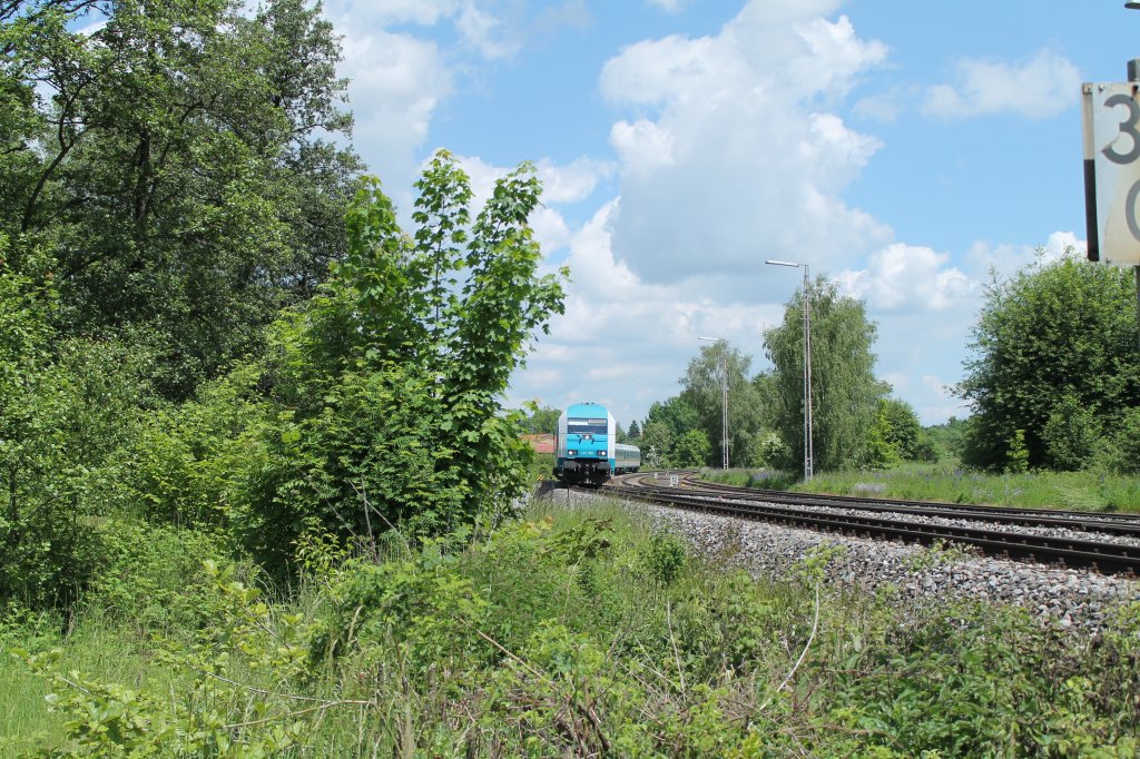 Einfahrt 223 066 mit dem ALX84113 Hof - Mnchen in Wiesau/Oberpfalz. 11.06.13