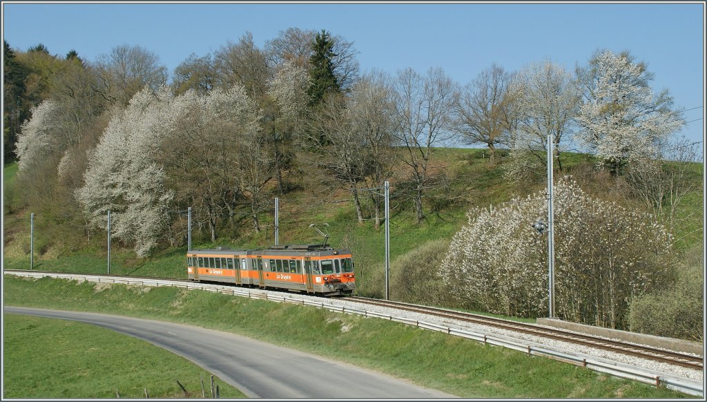 Es blht und grnt - bestes Frhlings-Fotowetter!
TPF Regionalzug 556 nach Montbovon bei Prayoud am 16. April 2011. 