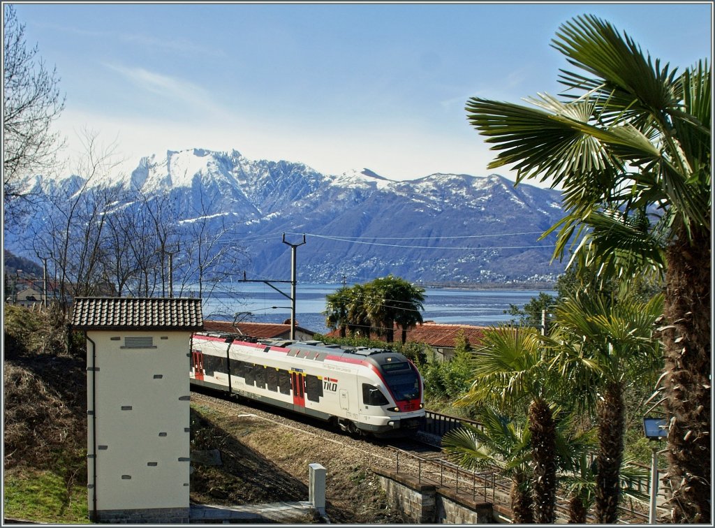 Etwas besser platziert: Ein Flirt (RABe 524 bzw. ETR 150) auf der Fahrt von Malpensa Aeroporto nach Cadenazzo bei Magadino.
21. März 2013