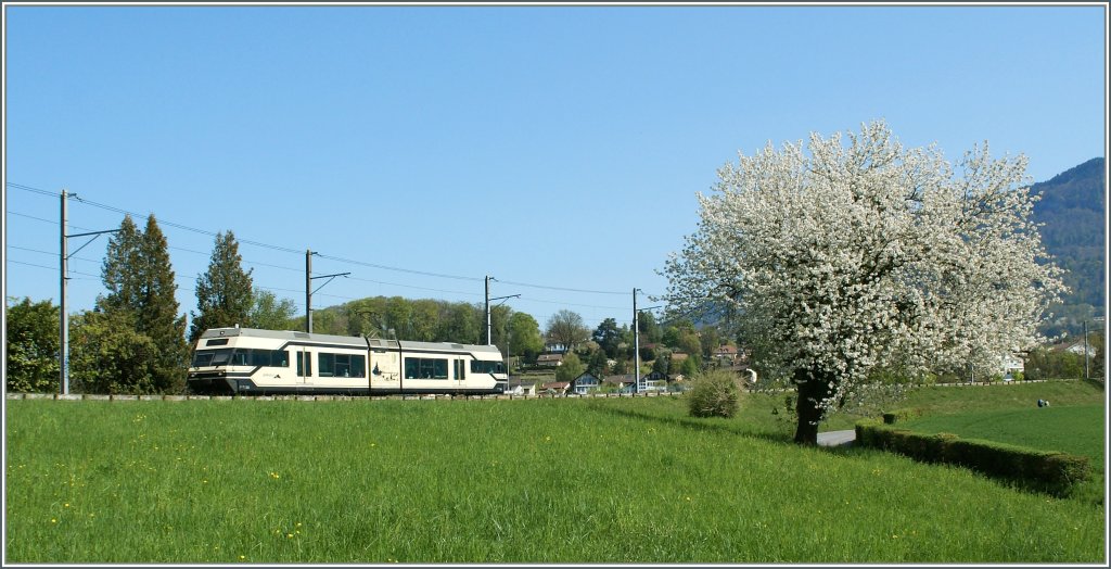 Frhlingsambiente oberhalb von Vevey. 
10.04.2011