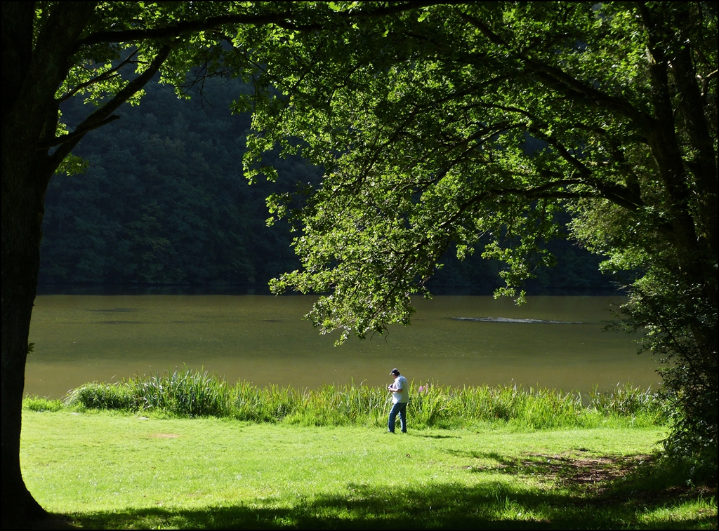 Hans im Libellenparadies. 16.08.2012 (Jeanny)