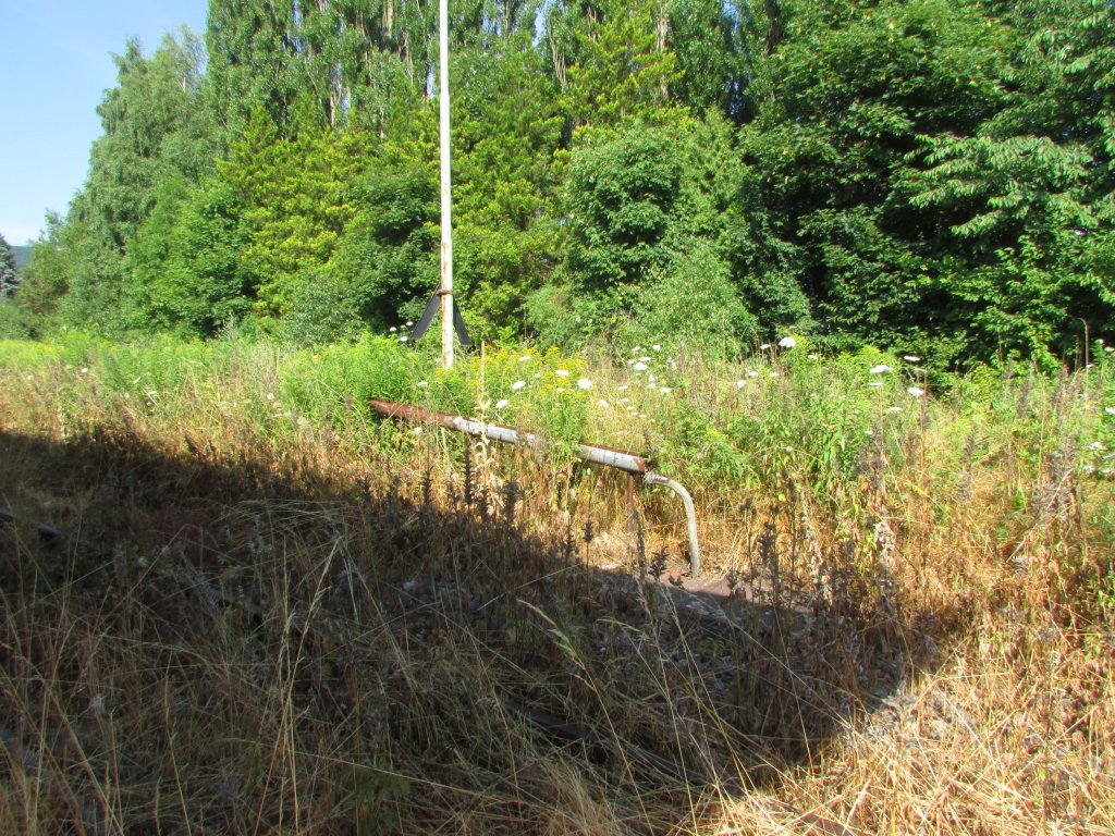 Ich Geb�sch des Bahnhofs Friedrichroda lag der ehemalige Schlauch zum betanken von Loks.An der Stelle stand einmal ein Wasserkran.Am 27.Juli.2013