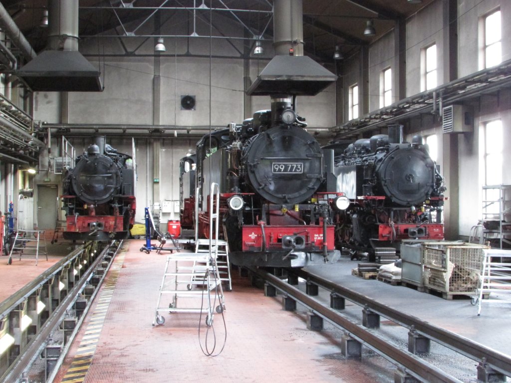Im Lokschuppen Oberwiesenthal standen 99 786,99 773 dahinter 99 1734-5 und 99761
v.l.n.r. am 15.Juli.2013