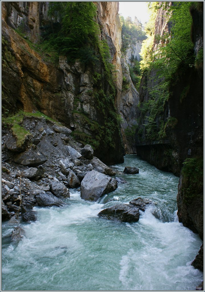 In der Aareschlucht
(07.06.2013)