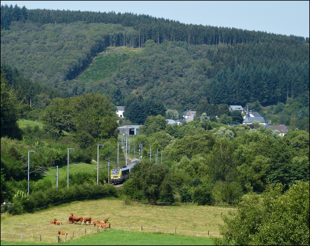 In der brtenden Hitze des 19.08.2012 durchfhrt der IR 115 Liers - Luxembourg das idyllische Tal der Clerve zwischen Enscherange und Wilwerwiltz und wird in Krze den Bahnhof von Wilwerwitz ereichen. (Jeanny)