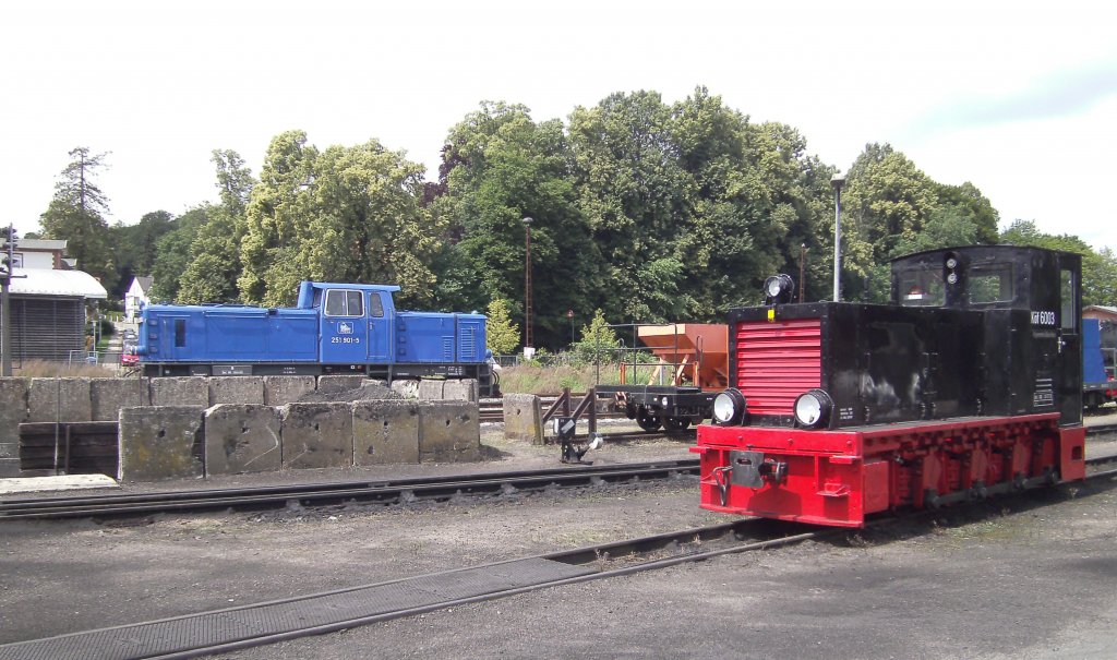 K�f 6003 und 251 901-5 in Putbus