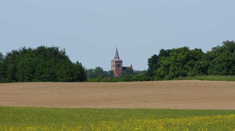 Landschaft um Lassan am Peenestrom im Juni 2013, im Hintergrund der Kirchturm von Lassan. Dort gibt es einen wunderbaren Naturcampingplatz.