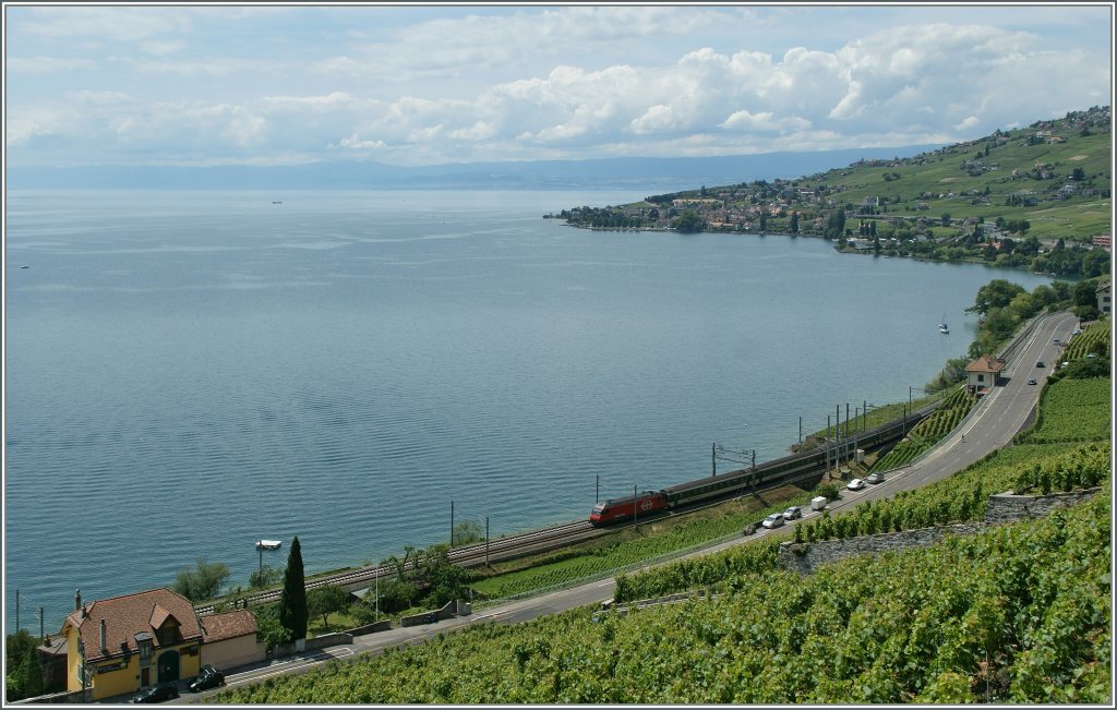 Lavaux ist nicht nur St-Saphorin, sondern viel mehr...
Re 460 mit einem IR nach Brig bei Epesses am 15. Juni 2011.