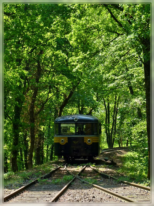 Licht und Schatten bei der Museumsbahn am 01.05.2011. (Jeanny)