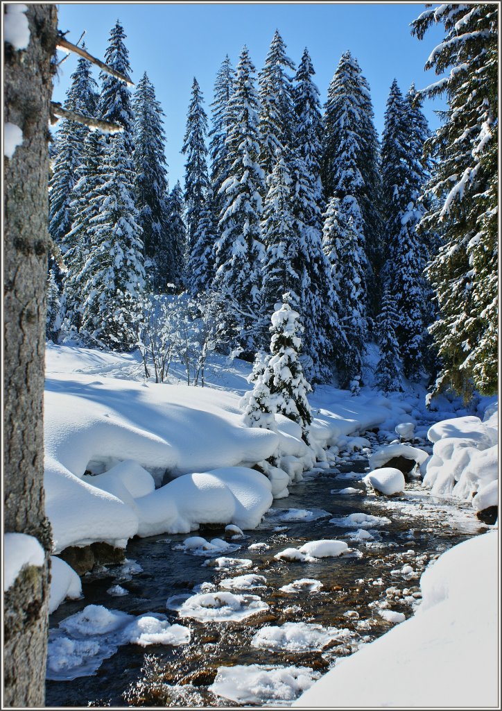 Mit diesem Foto wnschen wir allen besinnliche Weihnachten und ein gutes neues Jahr 2012.
(15.02.2010)