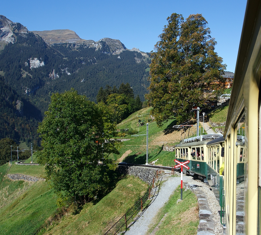 Mit der lngsten durchgehende Zahnradbahn der Welt, auch eine der schnsten, unterwegs: Mit einem Triebzug der Wengernalpbahn (WAB) am 02.10.2011 zwischen Lauterbrunnen und Kleine Scheidegg, hier kurz vor Wengen.