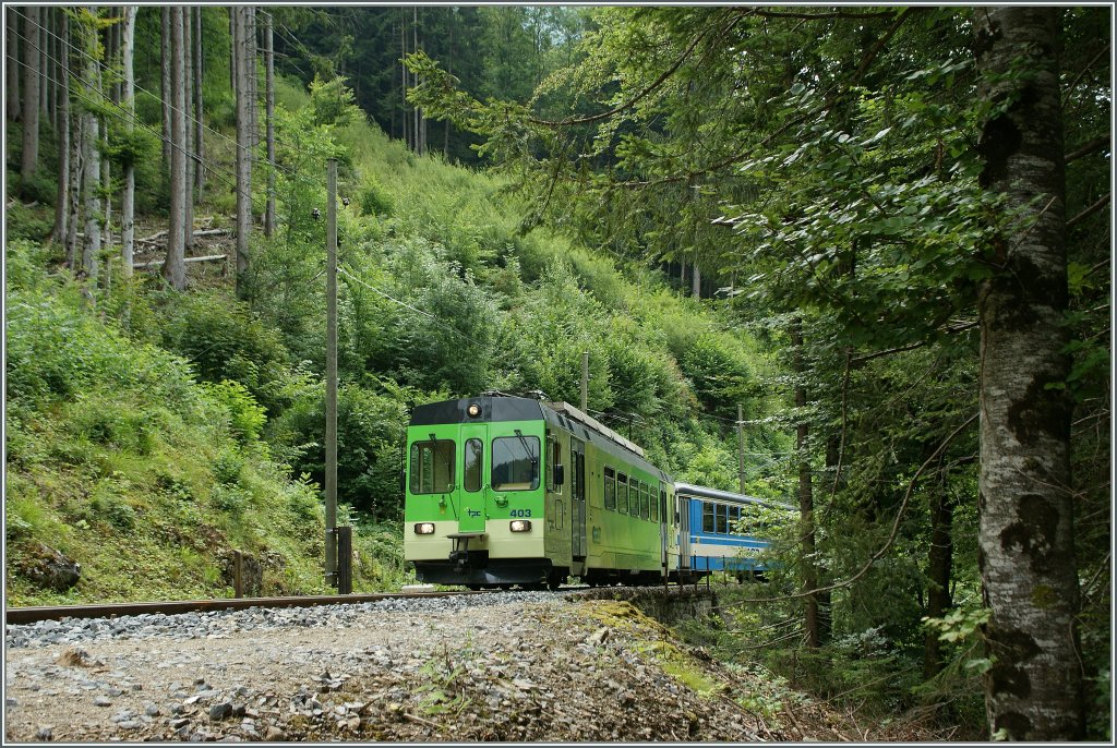 Mitten im Wald kommt uns bei unserer Wanderung ein ASD-Regionalzug entgegen.
05.08.2011