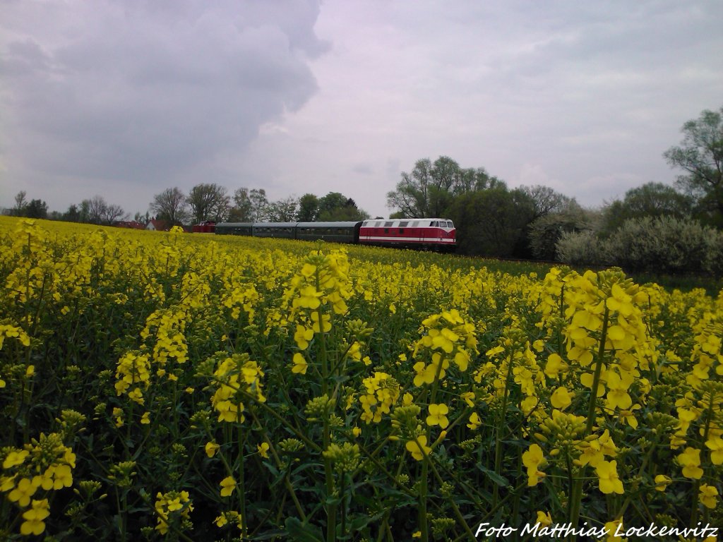 MTEG 118 770-7 als Schlusslicht zusehehn bei Pastitz (OT Putbus) am 11.513