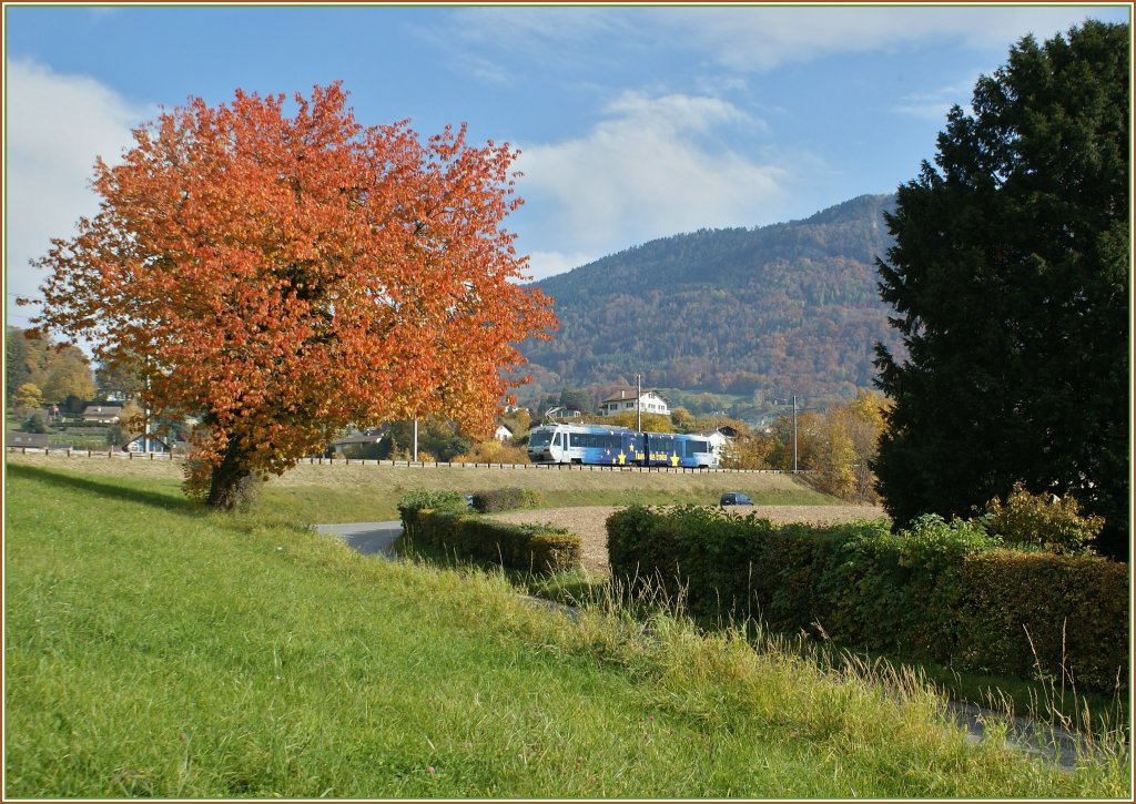 Nachdem es heute, je nach Hhenlage fast oder gar richtig schneite, hier noch ein Herbstbild aus bunteren Zeiten: Der  CEV  Train des Etoiles  auf dem Weg auf den Les Pleiades kurz nach der Haltestelle Chteau d' Hauteville am 30. Okt. 2010. 
