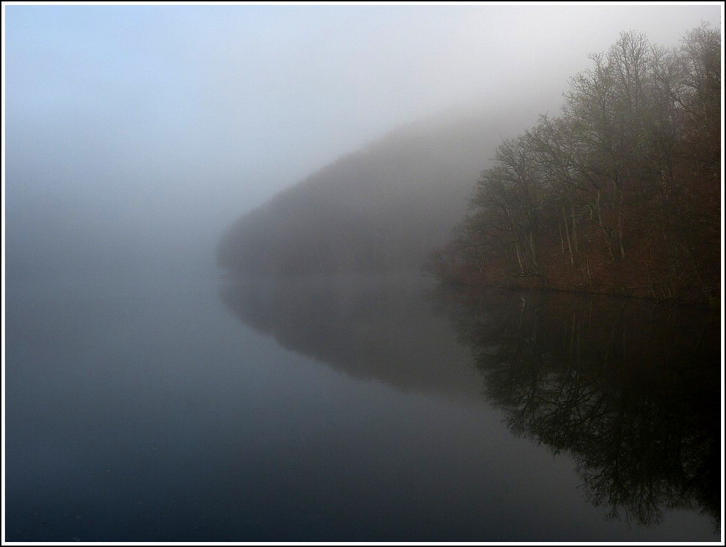 Nebel. 30.11.2011 (Jeanny)