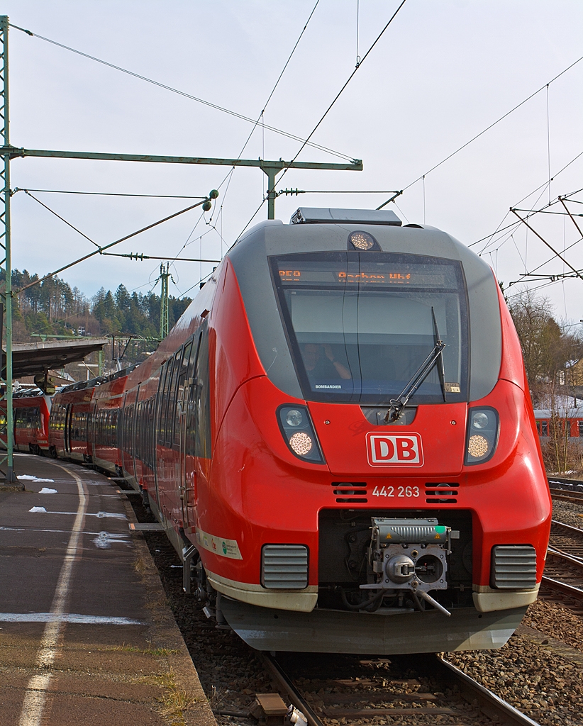 Noch sind die Trittstufen ausgeklappt, gleich geht die Reise der zwei gekuppelten vierteiligen Bombardier Talent 2 - 442 263 / 763 und 442 261 / 761 als RE 9 - rsx – Rhein-Sieg-Express (Siegen Hbf - Kln Hbf - Aachen Hbf) am 16.03.2013 von Betzdorf/Sieg schon gut gefllt, weiter in Richtung Kln.  In Kln war wohl ein Fuball Spitzenspiel.

Vor fast genau einem Jahr habe ich meinen ersten Hamster ablichten knnen, mittlerweile ist es hier eine Hamsterplage. So schnell nder sich die Zeiten.
