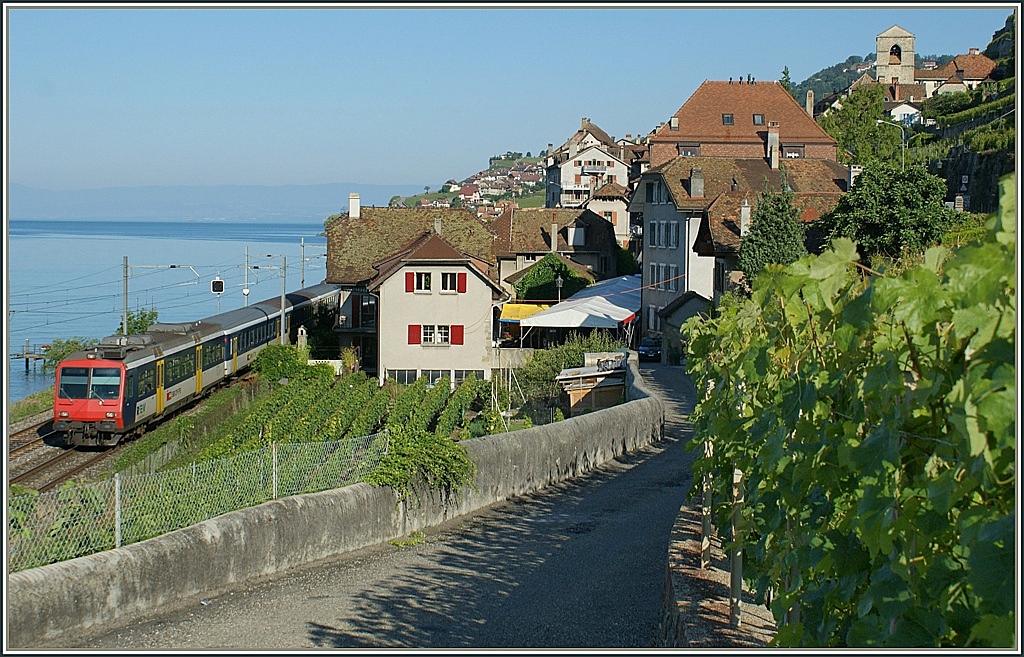 NPZ nach Villeneuve bei St-Saphorin. 
23.06.2010