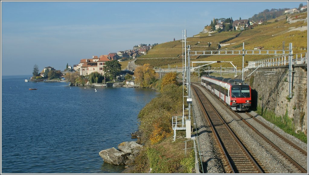 Nur kurz wird wohl der  Domino  am zwischen Lausanne und Villeneuve zu sehen sein,, ab Fahrplanwechsel sollten die Spurtstarken Flirts den gesamten S-Bahnverkehr auf dieser Strecke bernehmen.
Das Bild entstand am 29. Okt. 2010 zwischen Rivaz und St- Saphorin. 